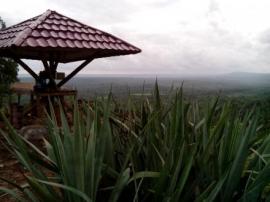 Bukit Kembang