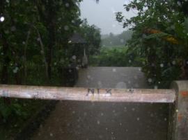 Kali Besole Banjir Pagi ini