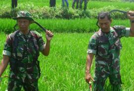 Pemanfaatan Pupuk Ramah Lingkungan